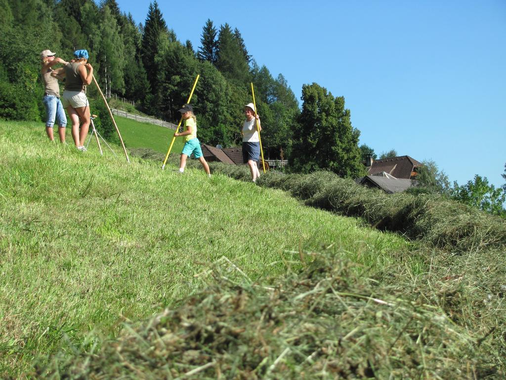 Lercherhof Feld am See Exteriér fotografie